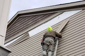 Best Historical Building Siding Restoration  in Nettleton, MS